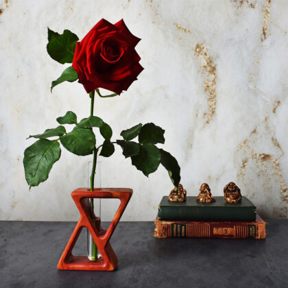 Vaso de Tubo de Ensaio - Vai Vem Peroba Rosa