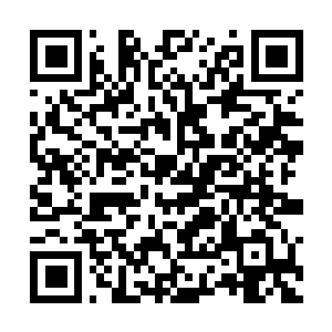 qrcodeelefant