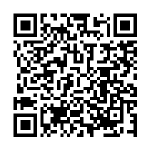 qrcodebondo