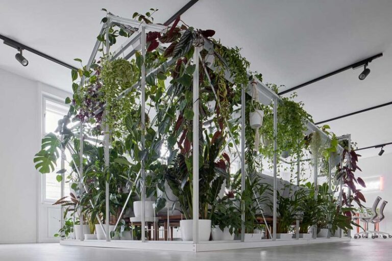 interior do escritório com sala em forma de casa coberta de plantas
