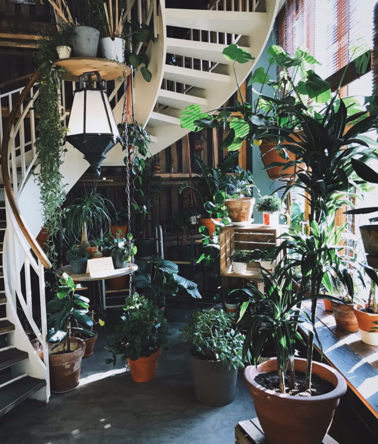 2023 é o ano do jardim interno, não se esqueça de adiciona-lo em sua decoração