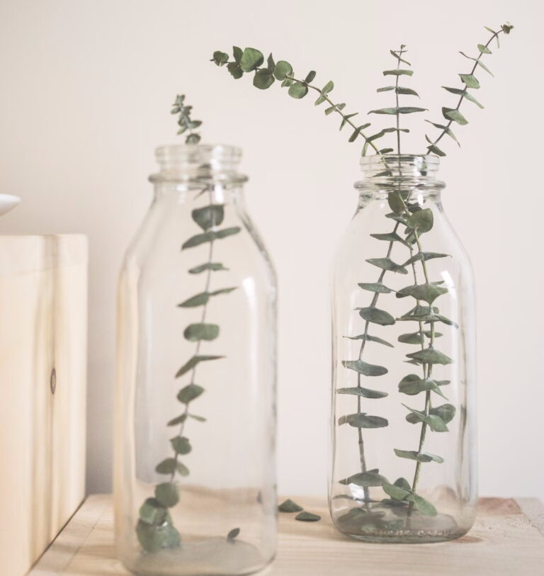 Decorando com eucalipto: Como fazer com que seus galhos e folhas durem