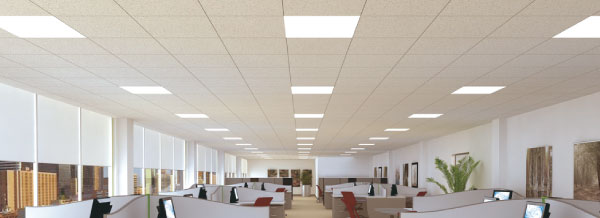 T8 LED General Lighting Interlectric Office Space