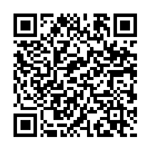 qrcodemavi